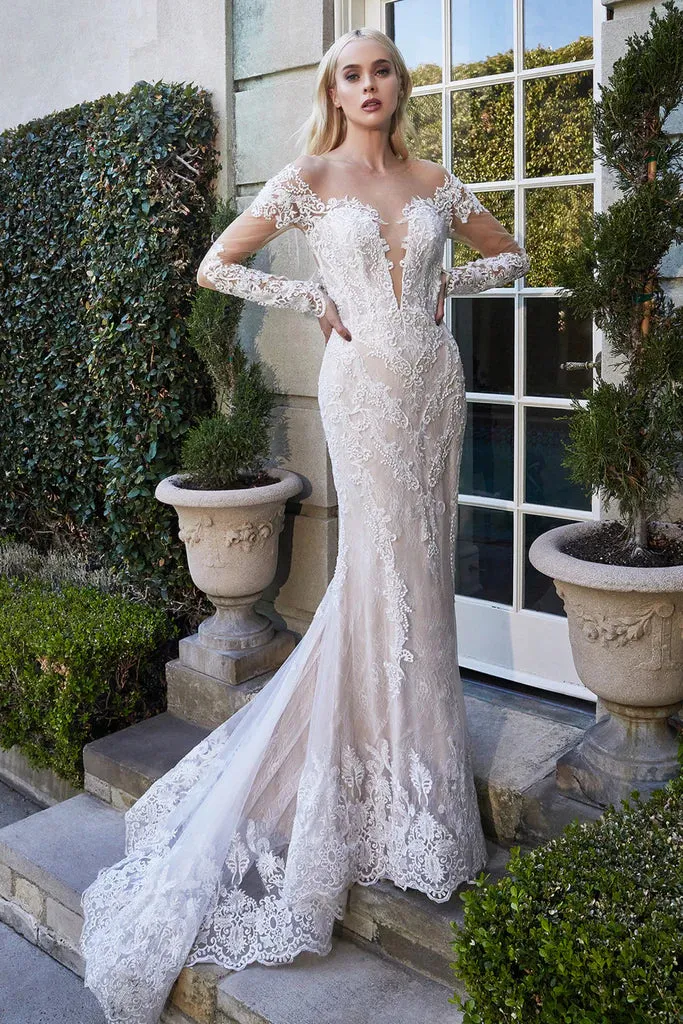 Alyce Bohemian Nude Illusion Lace Long Sleeve Wedding Dress: Ivory/Champagne