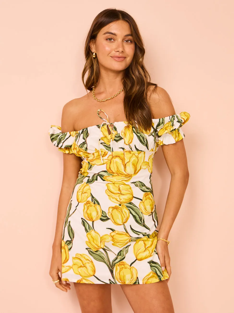 Ambra Maddalena Bambi Mini Dress in Tulips