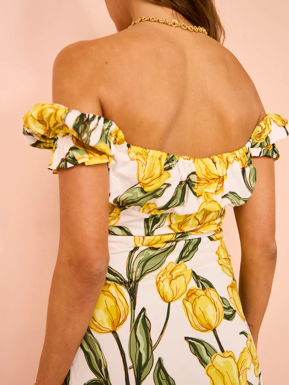 Ambra Maddalena Bambi Mini Dress in Tulips