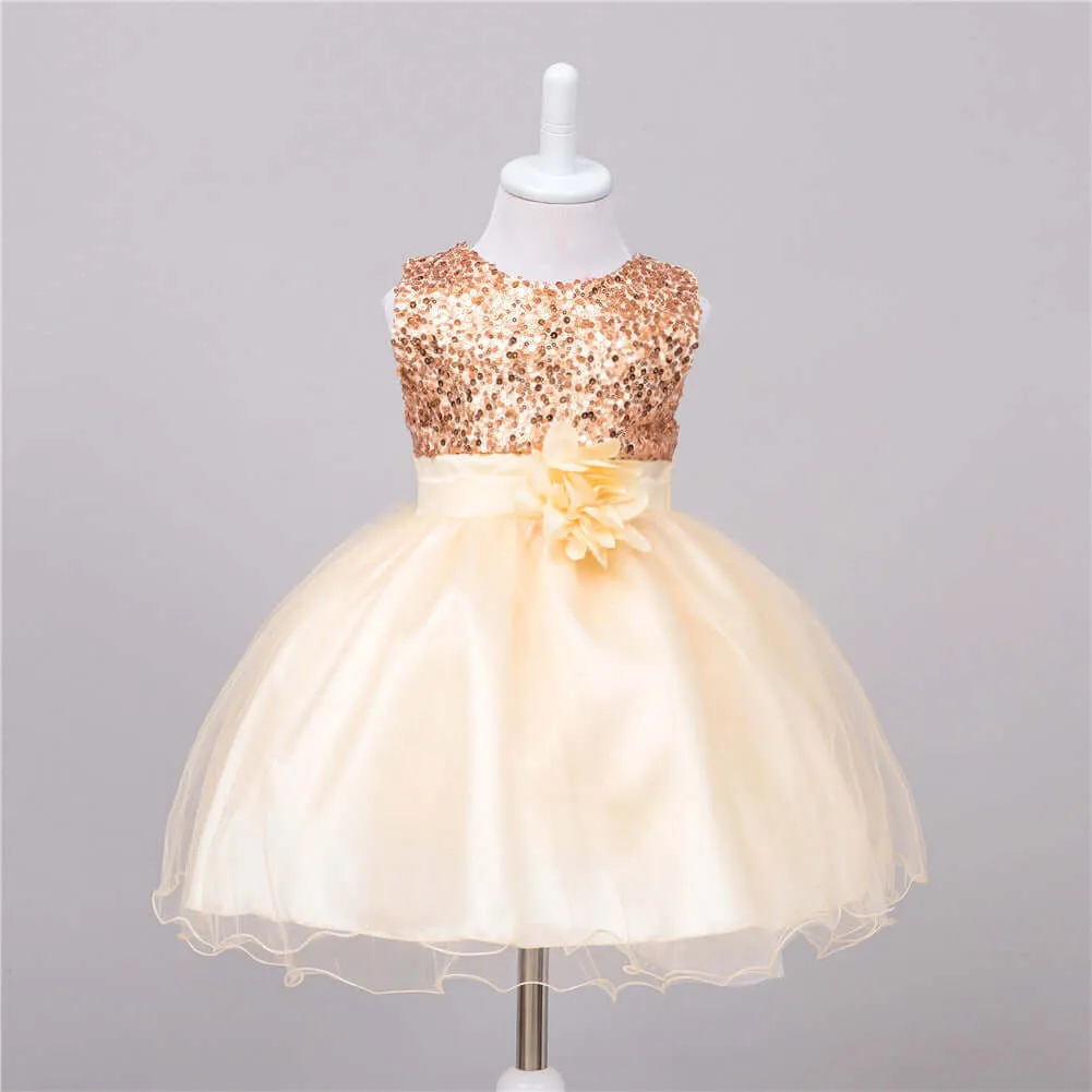 Baby Sequin and Wedding Sleeveless Princess Dress