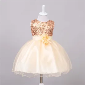 Baby Sequin and Wedding Sleeveless Princess Dress