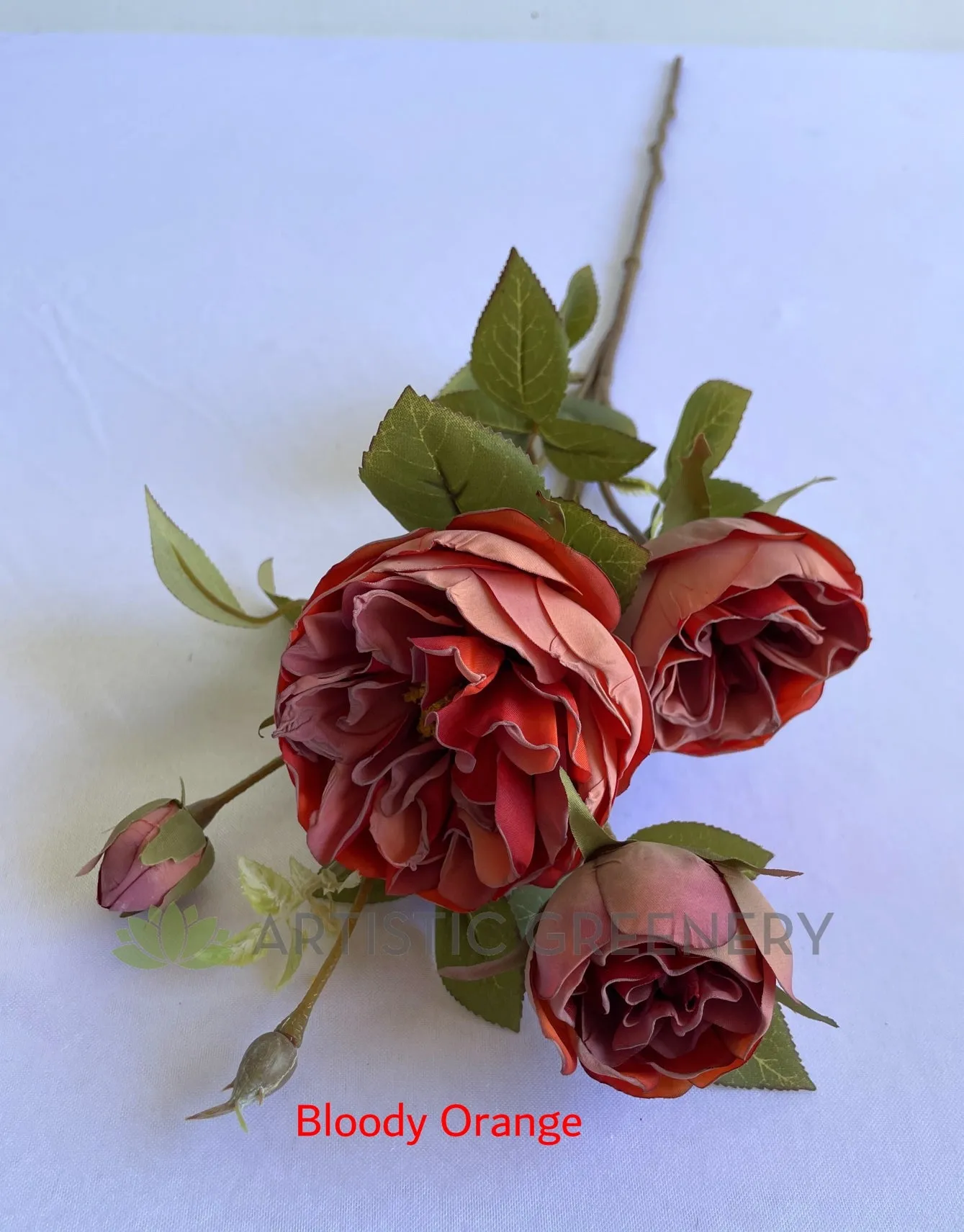 F0377 Rustic Style David Austin Rose Spray (Burnt Edges) 62cm 4 Colours