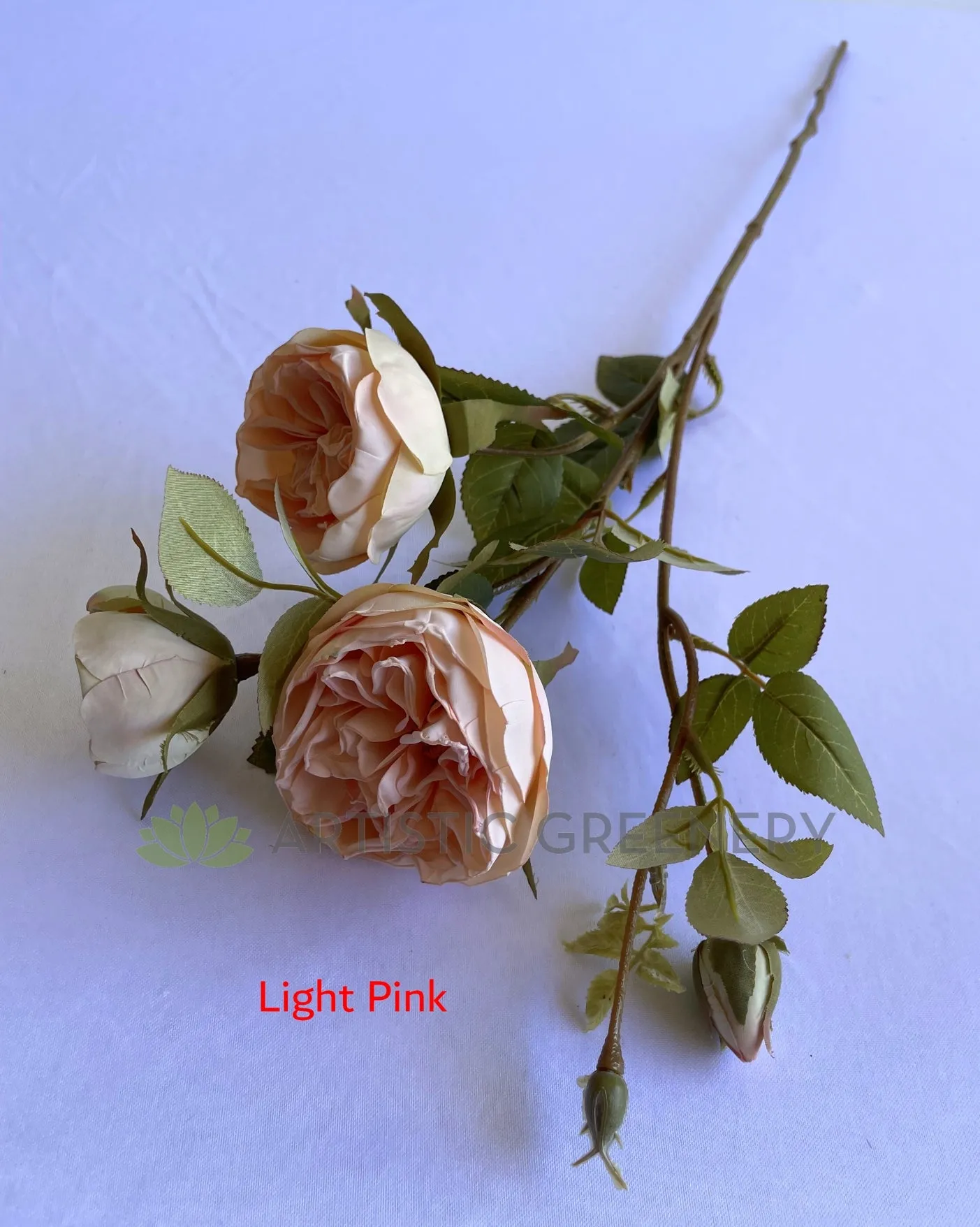 F0377 Rustic Style David Austin Rose Spray (Burnt Edges) 62cm 4 Colours