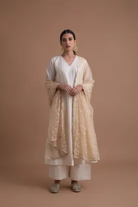 Silk Chanderi Pleated Kurta Set